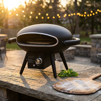 Propane Outdoor Pizza Oven Gas Pizza Oven — Studio Shot
